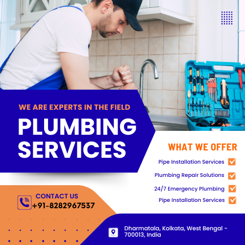 Professional Plumbing Services
